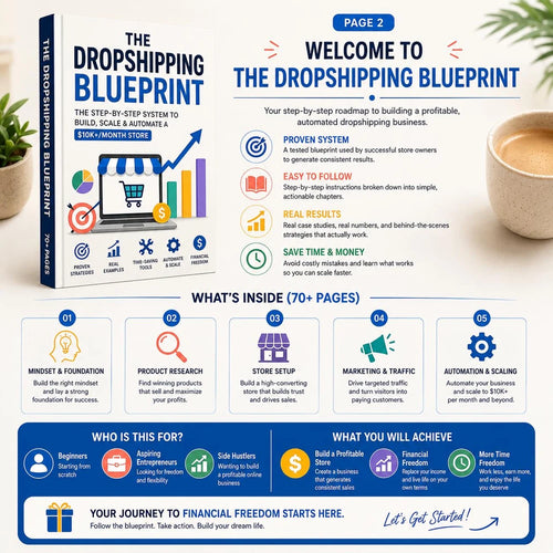 Dropshipping Blueprint Guide