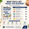 Dropshipping Blueprint Guide